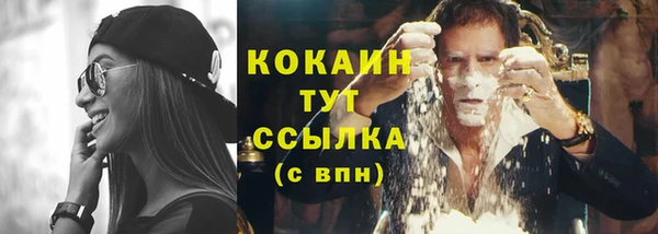 ПСИЛОЦИБИНОВЫЕ ГРИБЫ Абаза